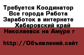 Требуется Коодинатор - Все города Работа » Заработок в интернете   . Хабаровский край,Николаевск-на-Амуре г.